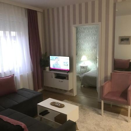 Apartman Kristina Free Parking Novi Sad Bagian luar foto