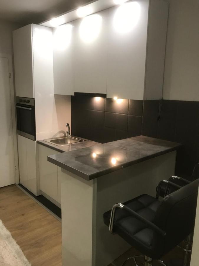 Apartman Kristina Free Parking Novi Sad Bagian luar foto