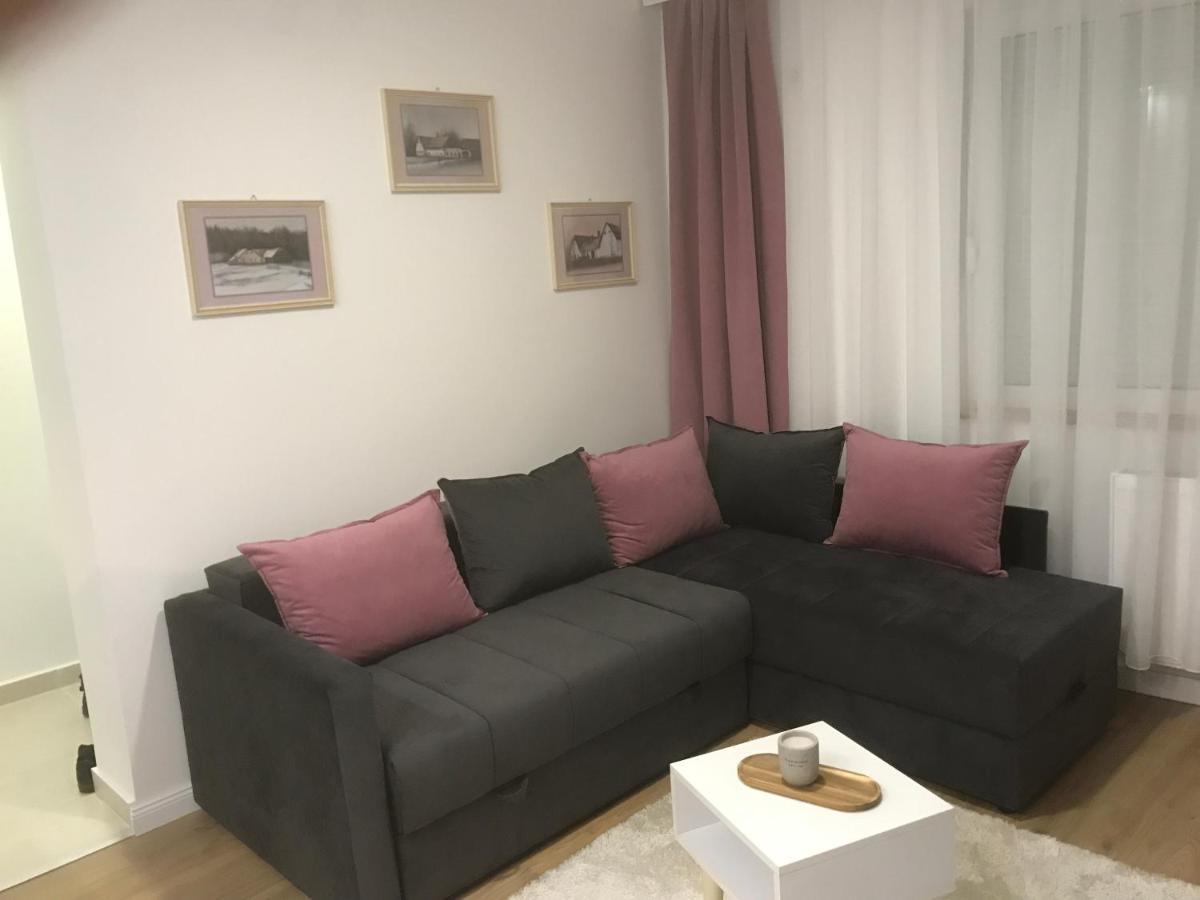 Apartman Kristina Free Parking Novi Sad Bagian luar foto