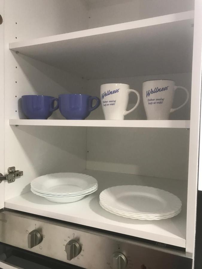 Apartman Kristina Free Parking Novi Sad Bagian luar foto